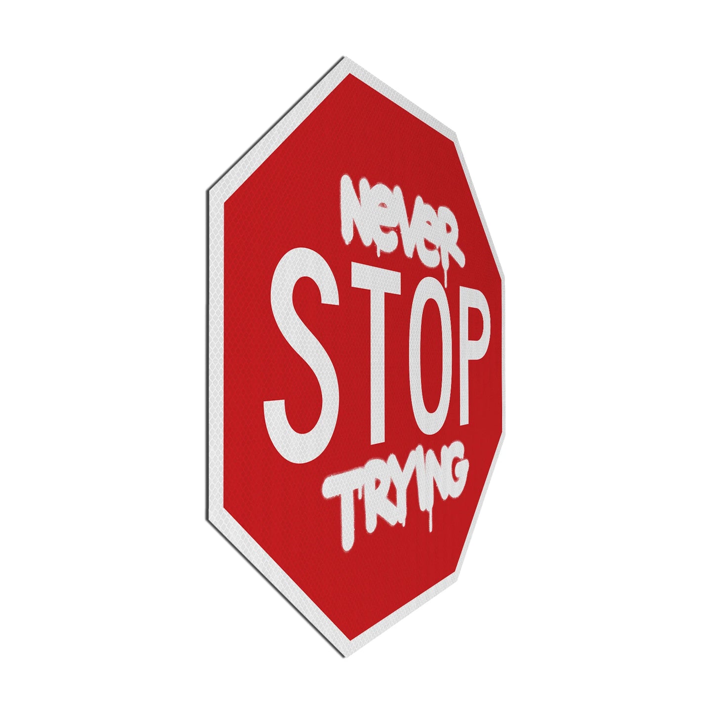 Never STOP trying Streetsign