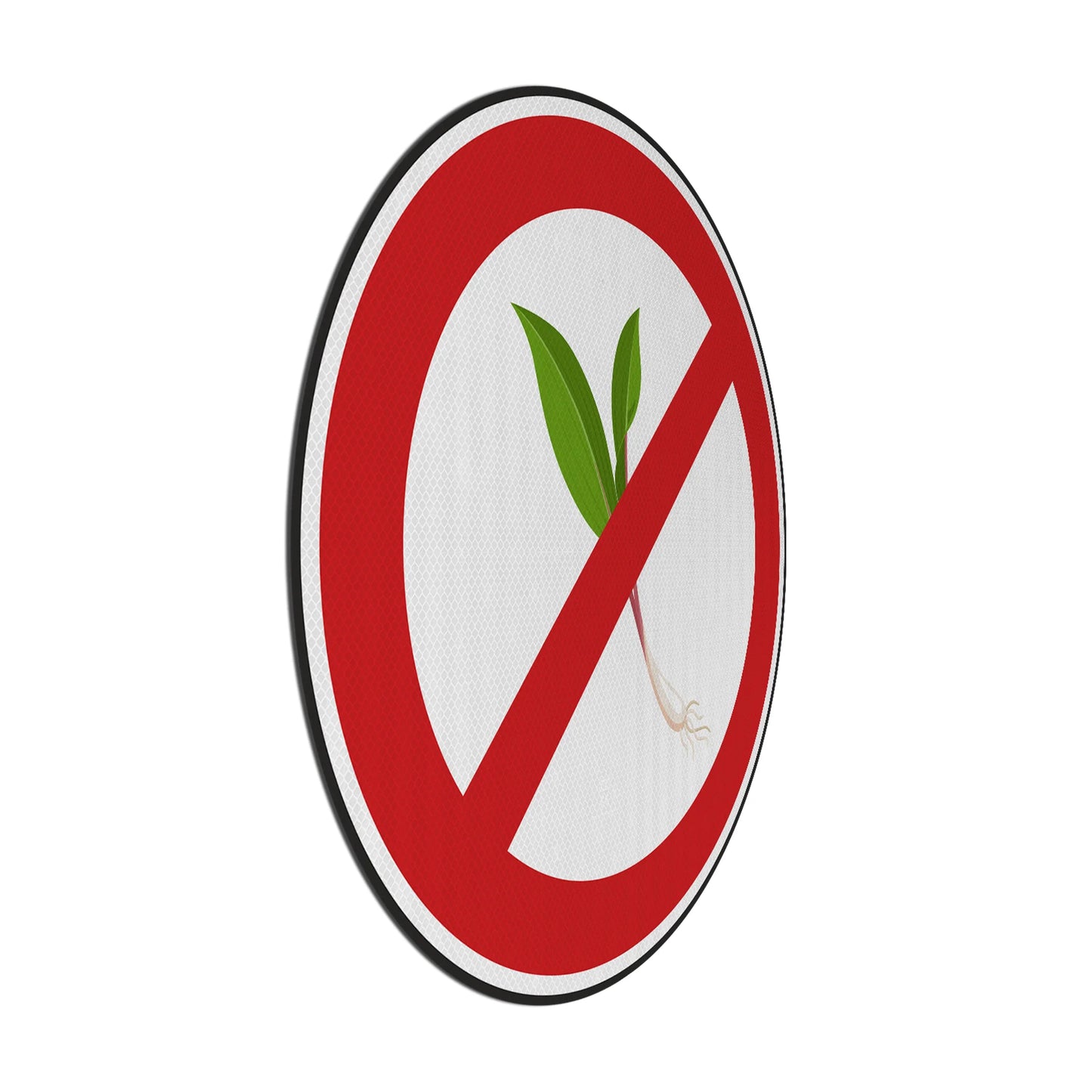 Speed ​​limit 1966 (Halle) Streetsign