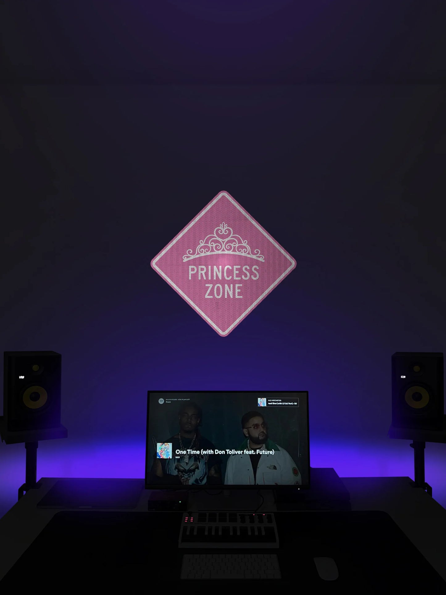 Princess Zone Streetsign