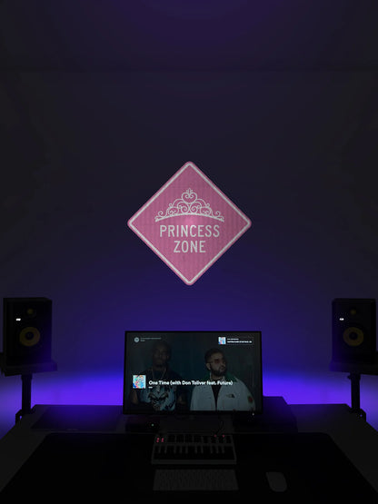 Princess Zone Streetsign